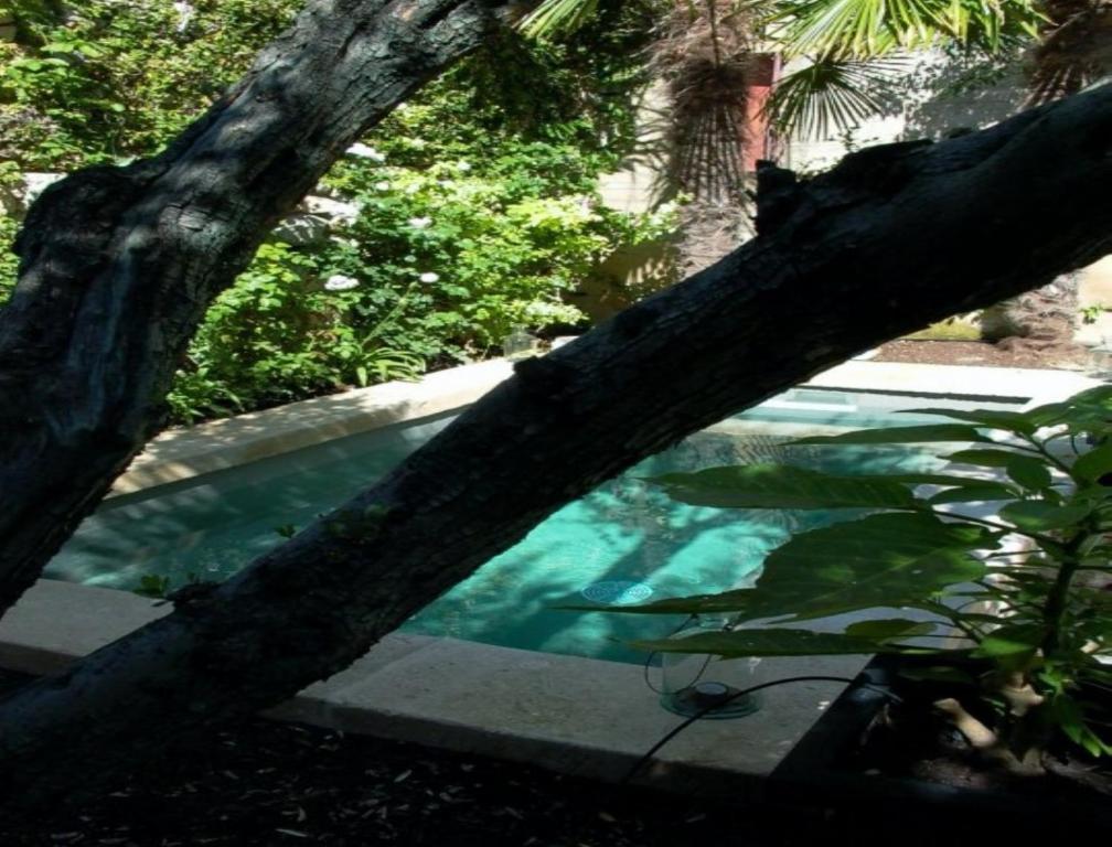 Monte Arena Bed and Breakfast Montaren-et-Saint-Médiers Εξωτερικό φωτογραφία