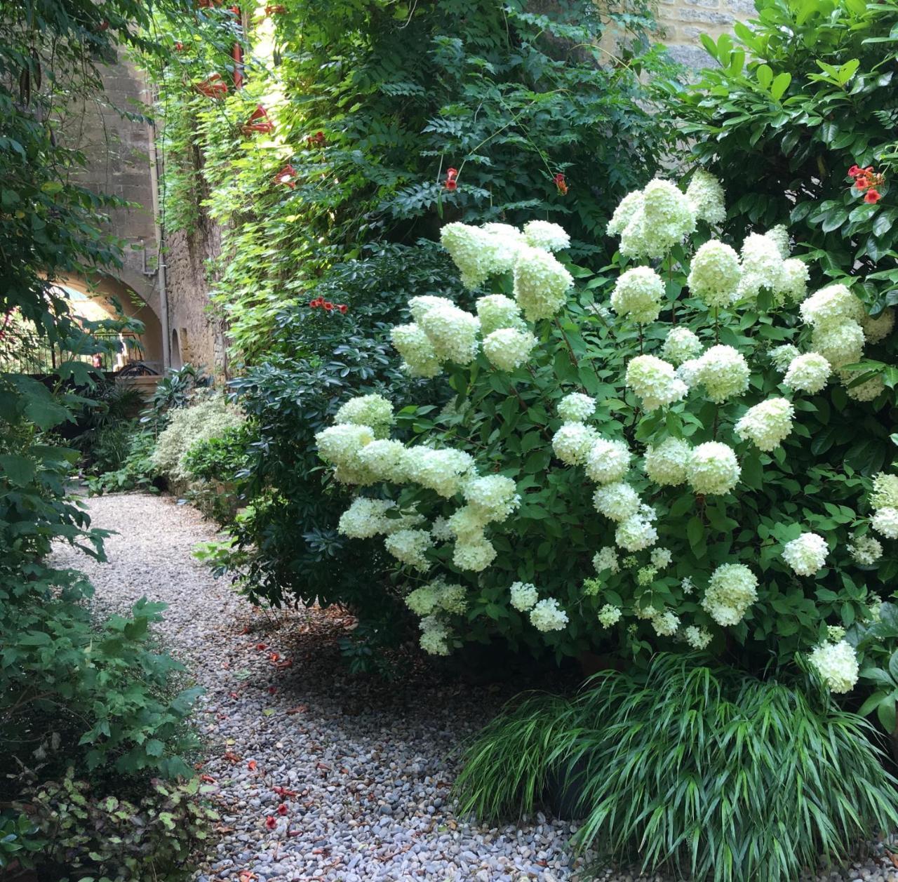 Monte Arena Bed and Breakfast Montaren-et-Saint-Médiers Εξωτερικό φωτογραφία