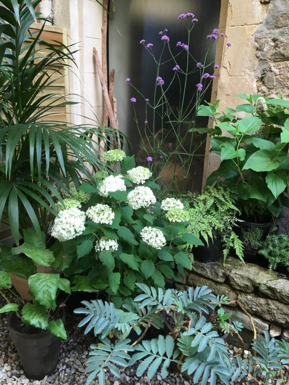 Monte Arena Bed and Breakfast Montaren-et-Saint-Médiers Εξωτερικό φωτογραφία